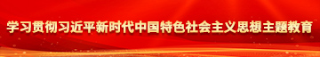 在线被艹欧美学习贯彻习近平新时代中国特色社会主义思想主题教育